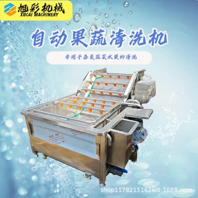 果蔬氣泡清洗機西藍花生菜噴淋清洗芹菜小米辣凈菜果蔬清洗設(shè)備廠