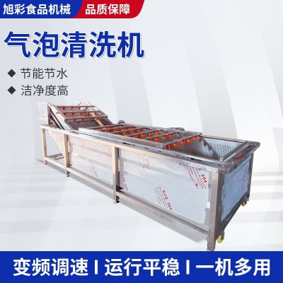 柑橘氣泡清洗機楊梅草莓果蔬噴淋清洗設(shè)備圣女果全自動氣泡清洗機