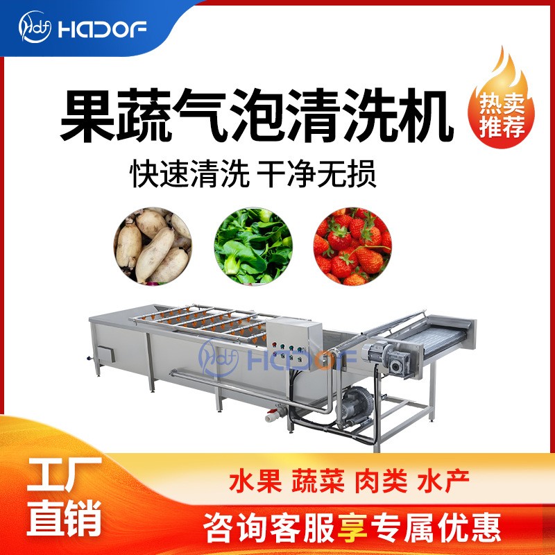 全自動(dòng)瓜果蔬菜氣泡清洗機(jī)不銹鋼噴淋式洗菜機(jī)中央廚房凈菜產(chǎn)線