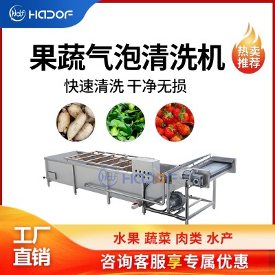 全自動瓜果蔬菜氣泡清洗機不銹鋼噴淋式洗菜機中央廚房凈菜產(chǎn)線