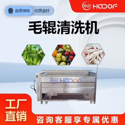 全自動洗姜機山藥馬蹄毛輥清洗機不銹鋼預(yù)制菜加工清洗整條產(chǎn)線