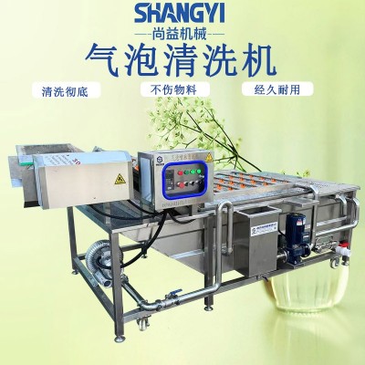 商用氣泡果蔬清洗機中央廚房葉菜根莖類清洗設備食品廠洗菜機