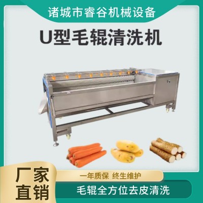 木瓜清洗去皮機(jī)球莖類(lèi)果蔬毛輥清洗機(jī)洋芋馬鈴薯蘿卜紅薯洗泥沙機(jī)
