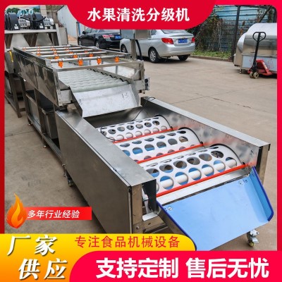 工廠用果蔬清洗打蠟分級(jí)流水線沃柑清洗加工線橙子清洗風(fēng)干選果機(jī)