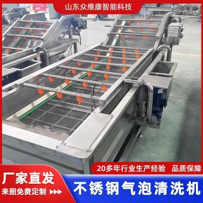 商用果蔬氣泡清洗機(jī)大型辣椒清洗流水線全自動圣女果砂糖橘洗果機(jī)