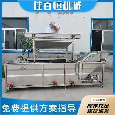 全自動(dòng)果蔬氣泡清洗機(jī)商用蔬菜洗菜機(jī)海參水果清洗風(fēng)干流水線