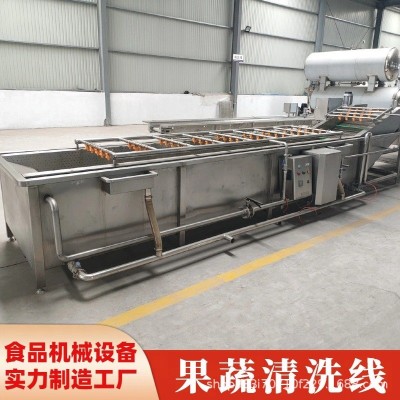 果蔬清洗機 大型果蔬清洗流水線 不銹鋼304材質 噴淋式清洗設備
