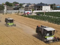 老農機手眼中的收割利器!